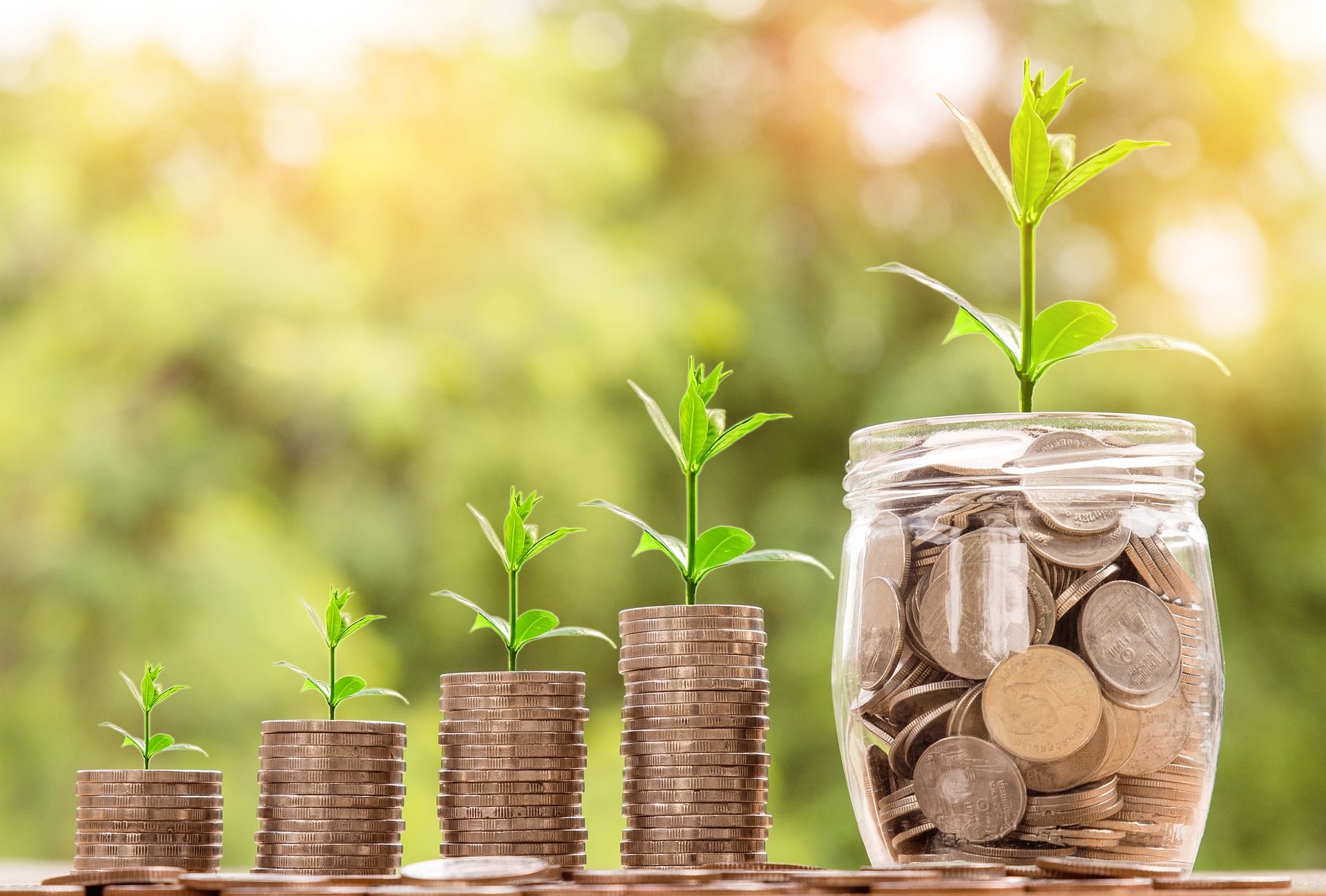 Investment banner