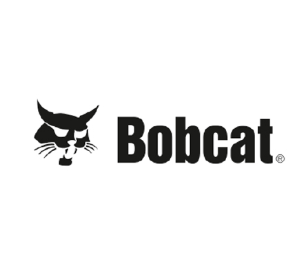 02_Bobcat